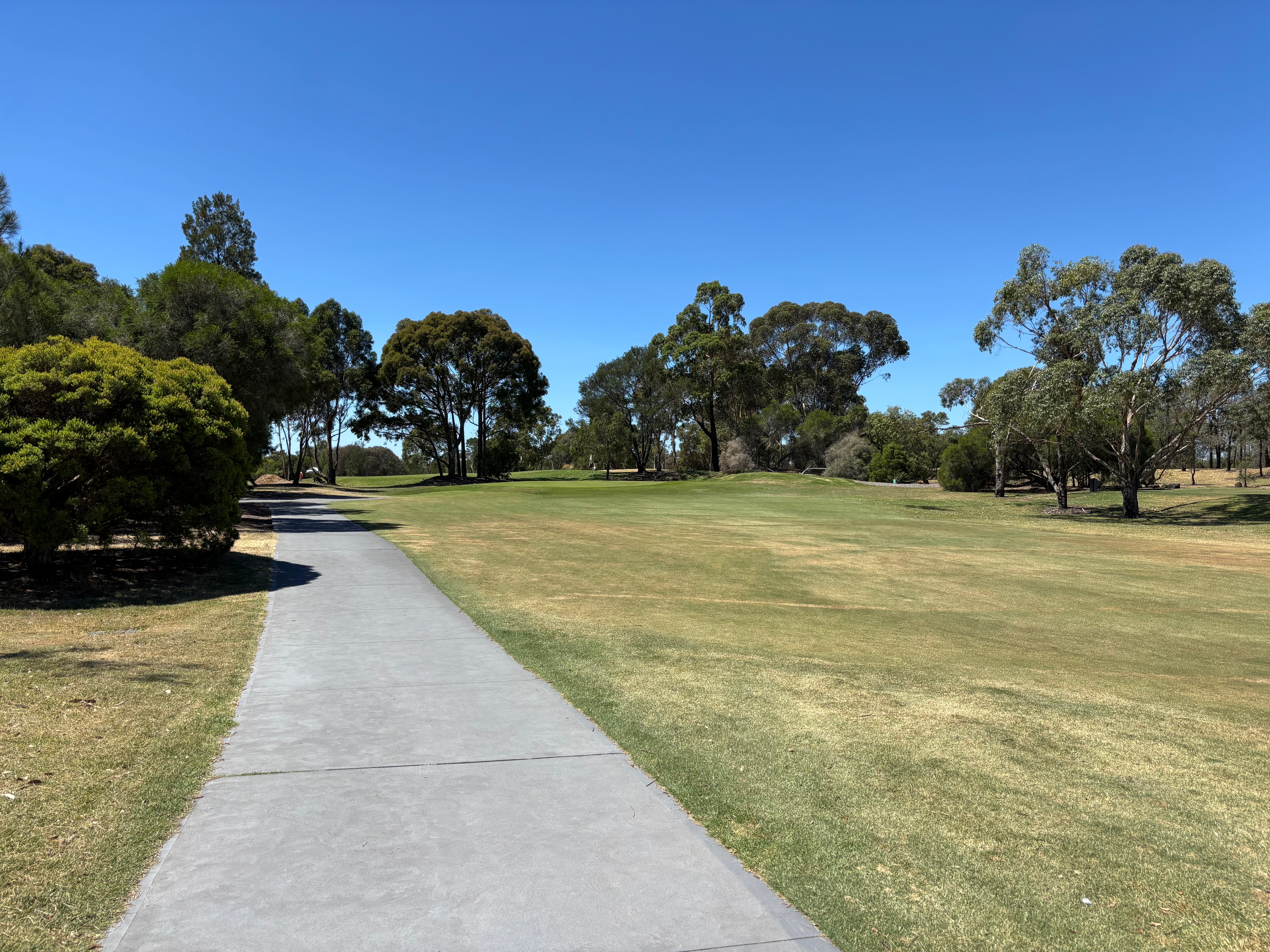 Dorset Golf - Review 23rd January 2026