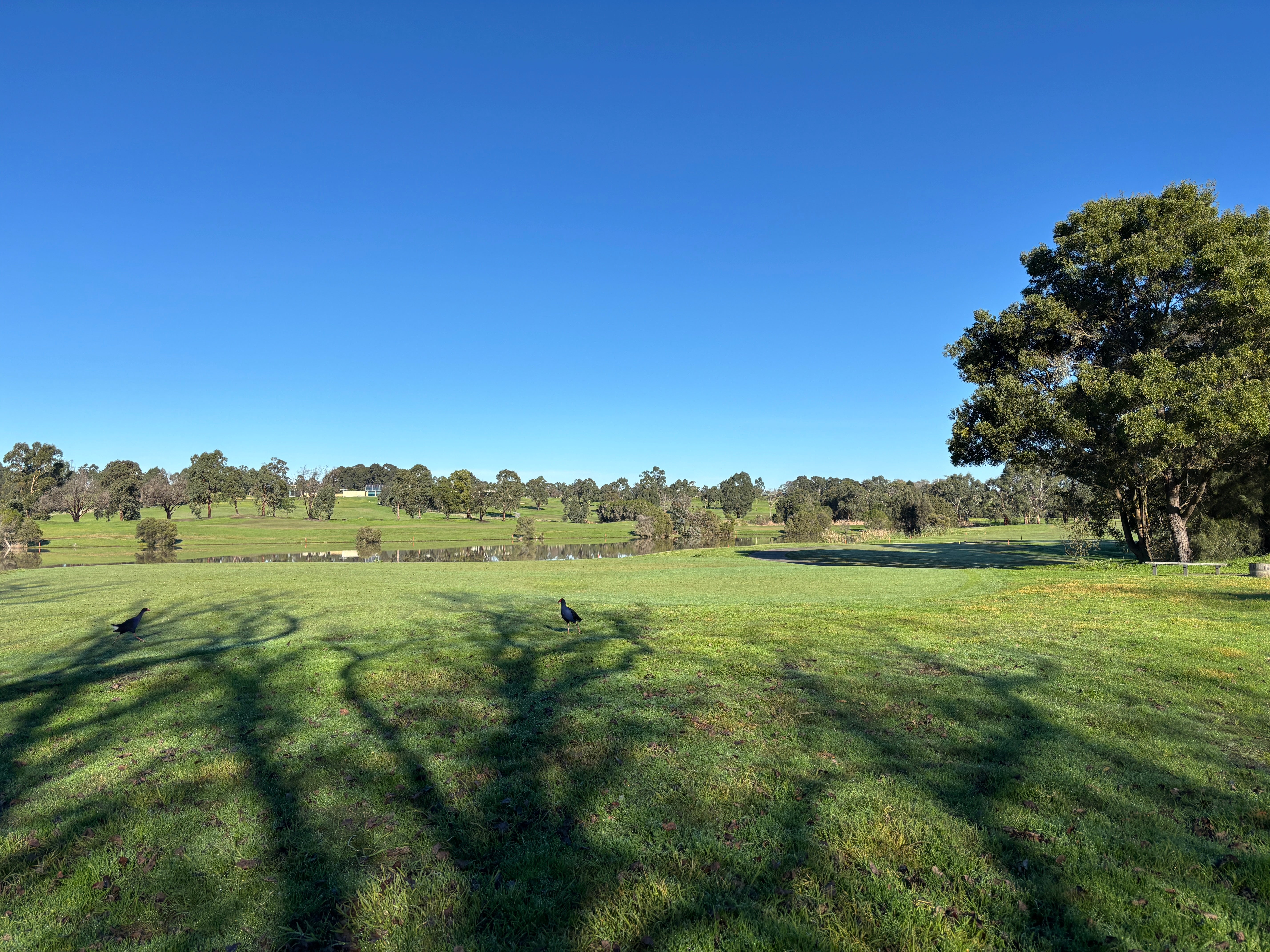 Yering Meadows Golf Club - Valley Course - Review July 17th 2026