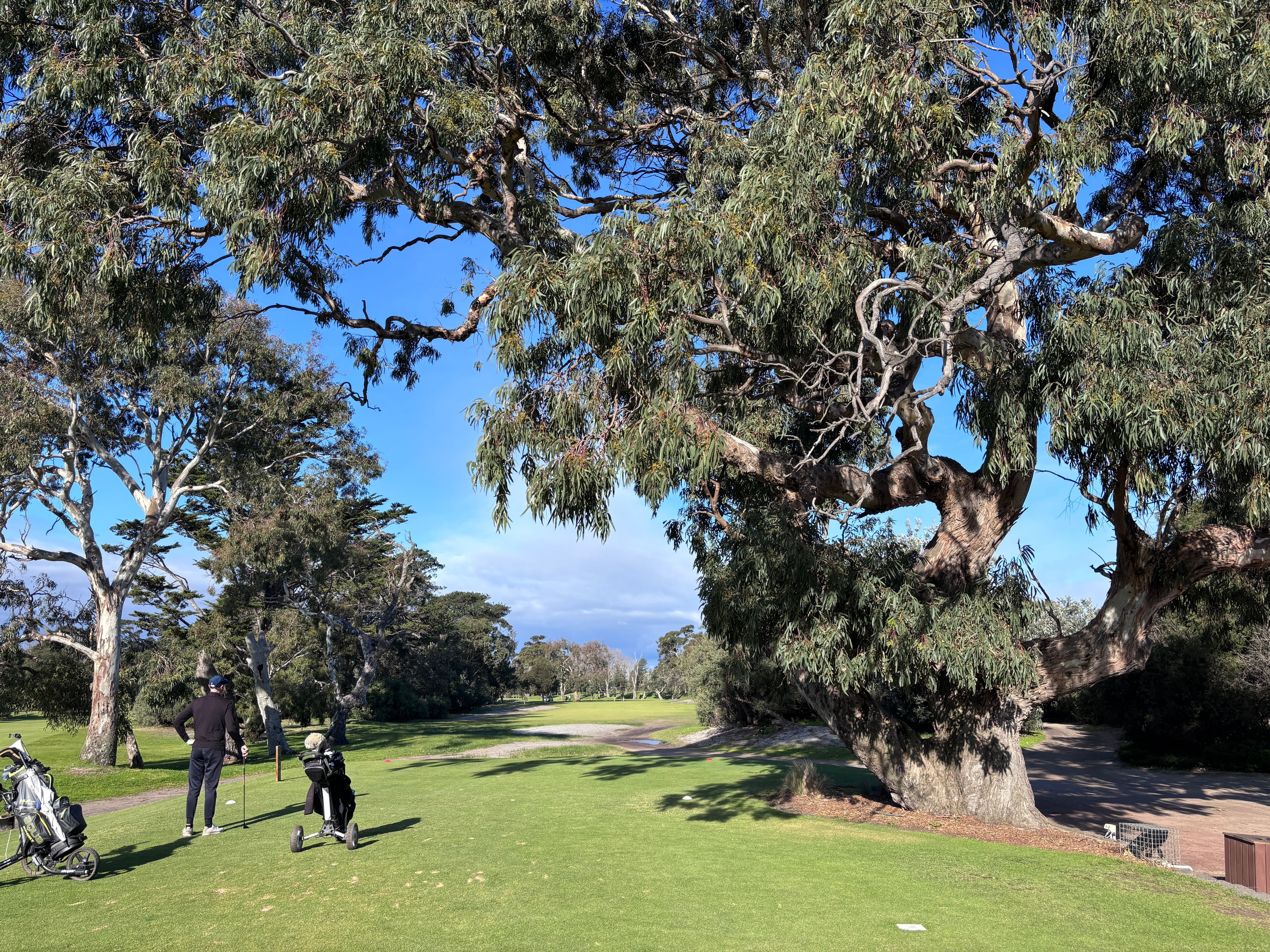 Rossdale Golf Club - Review July 31st 2026