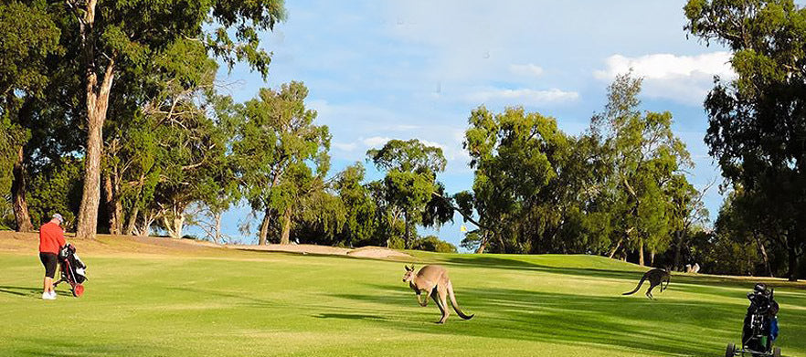 Churchill Park Golf Club
