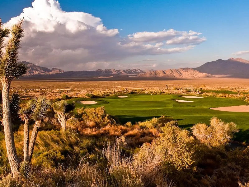 Las Vegas Paiute Golf Resort - Sun Mountain