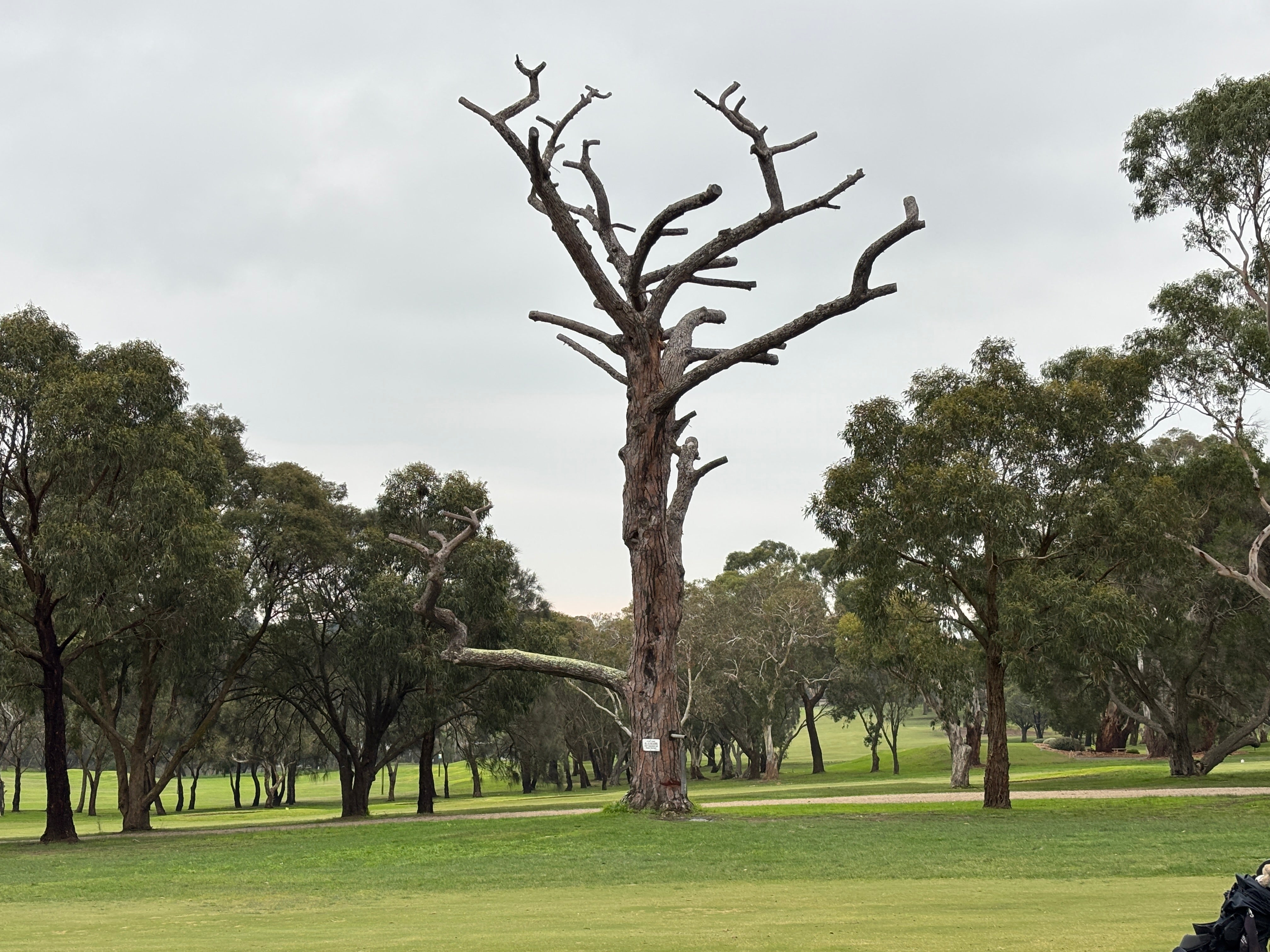 Mount Martha Public Golf Course