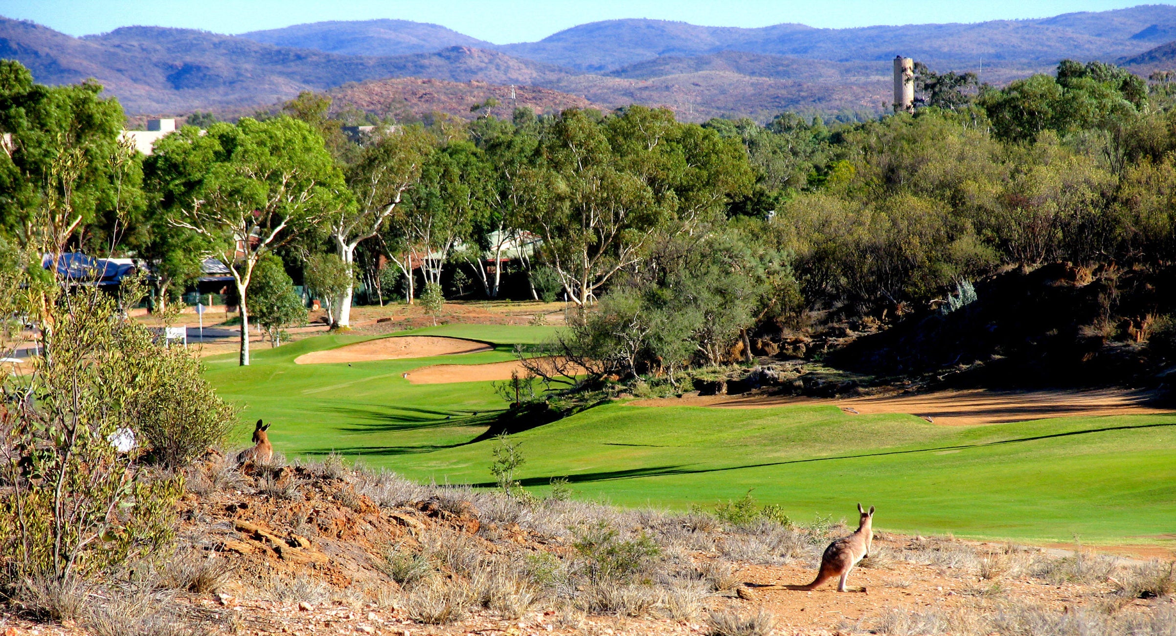 Alice Springs Golf Club