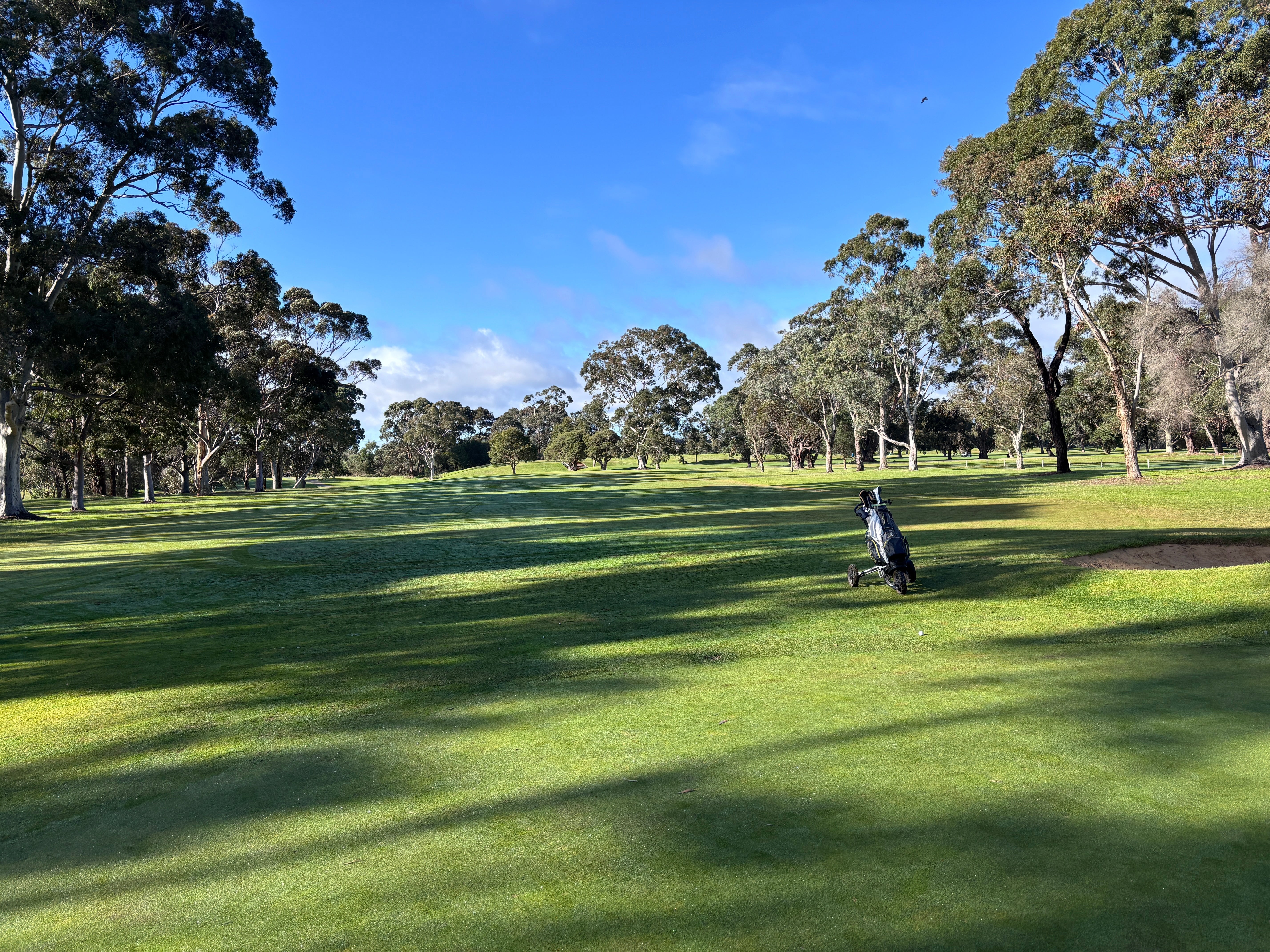 Centenary Park Golf - Review July 26th 2026