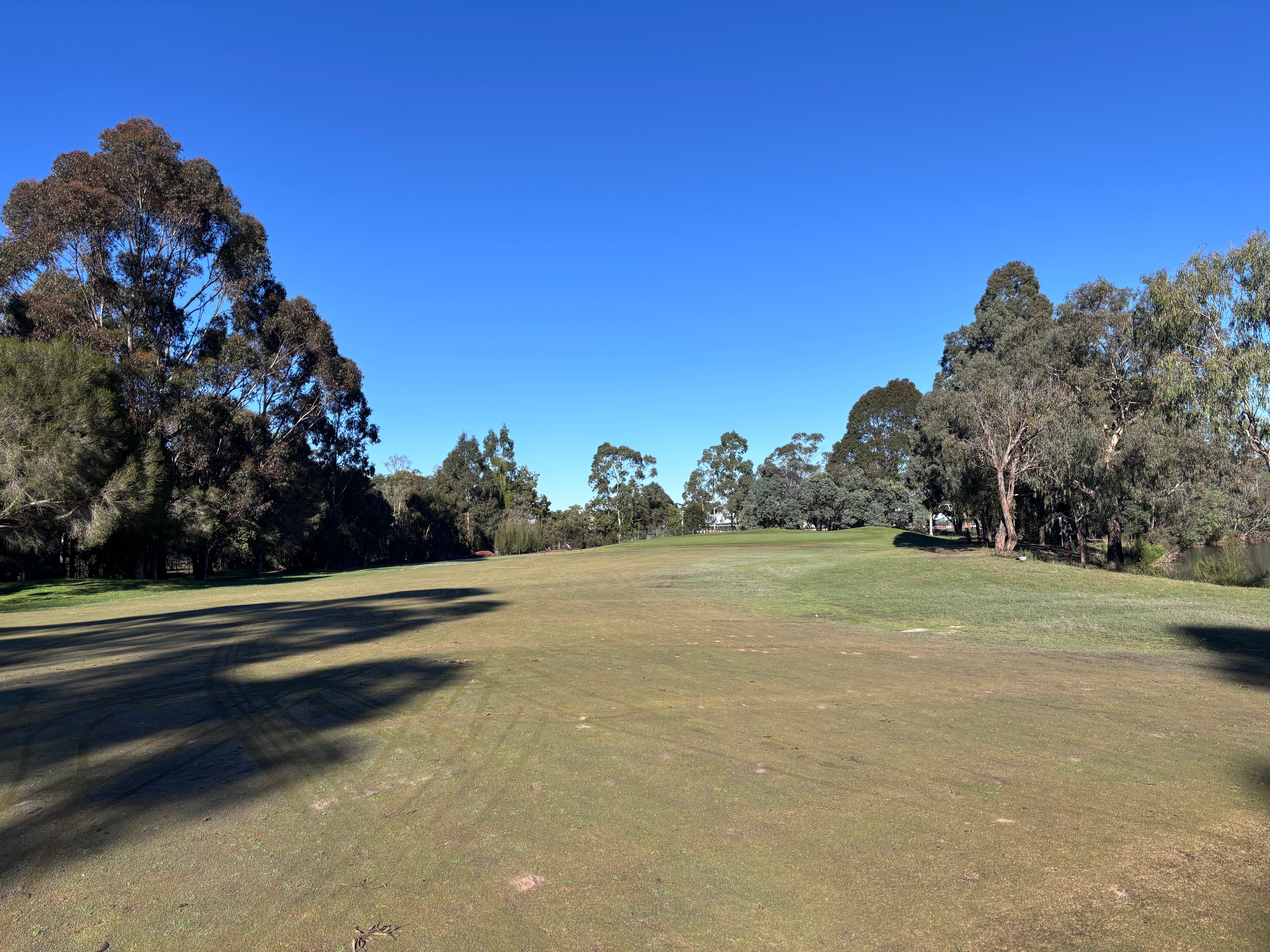 Dorset Golf - Review August 1st 2026