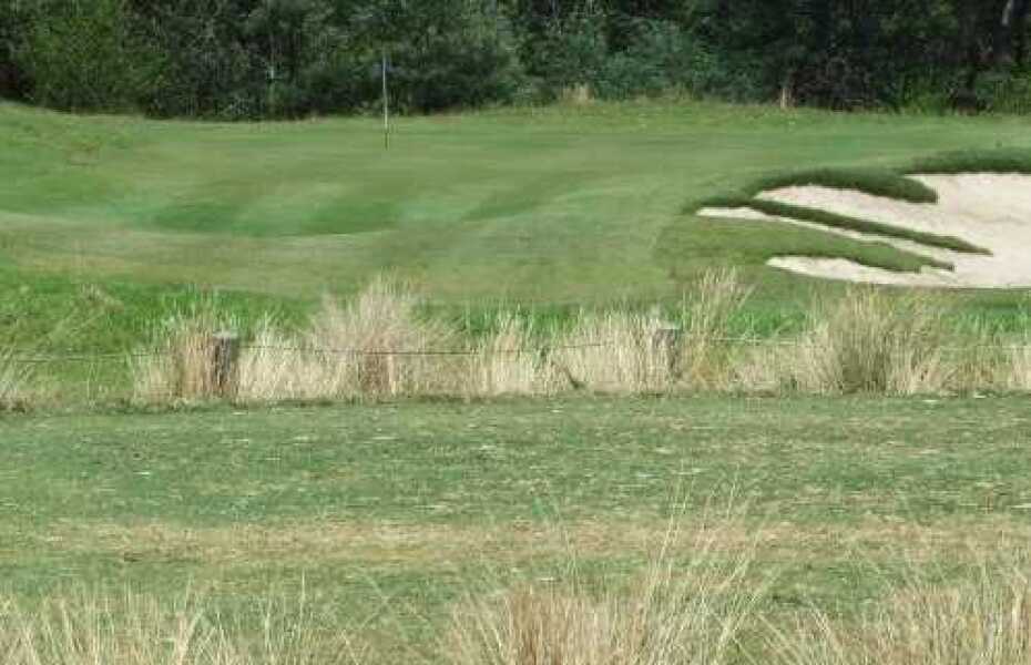 Freeway Golf Course - Review 4th January 2026