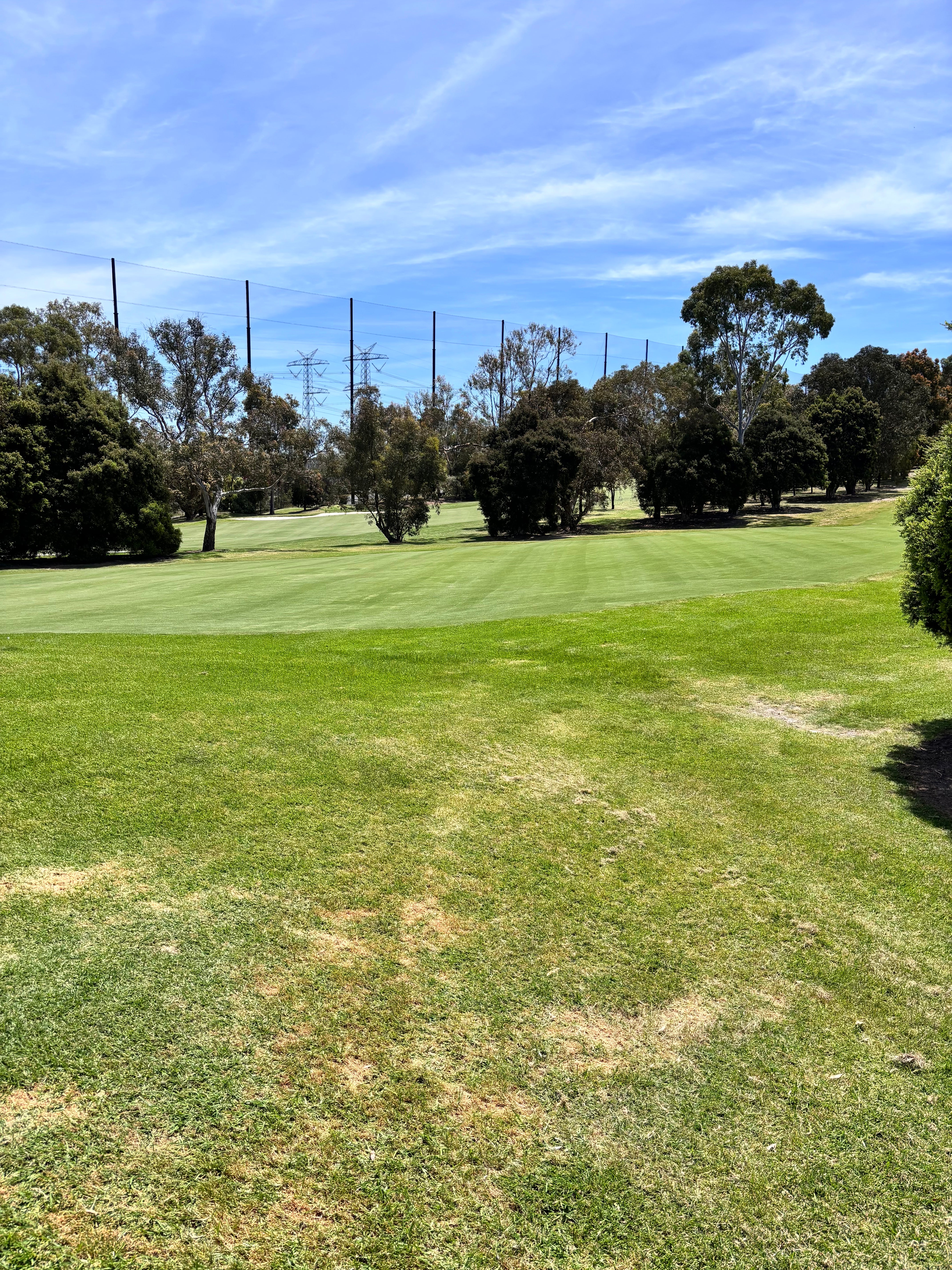 Ringwood Golf - Review 16th December 2025