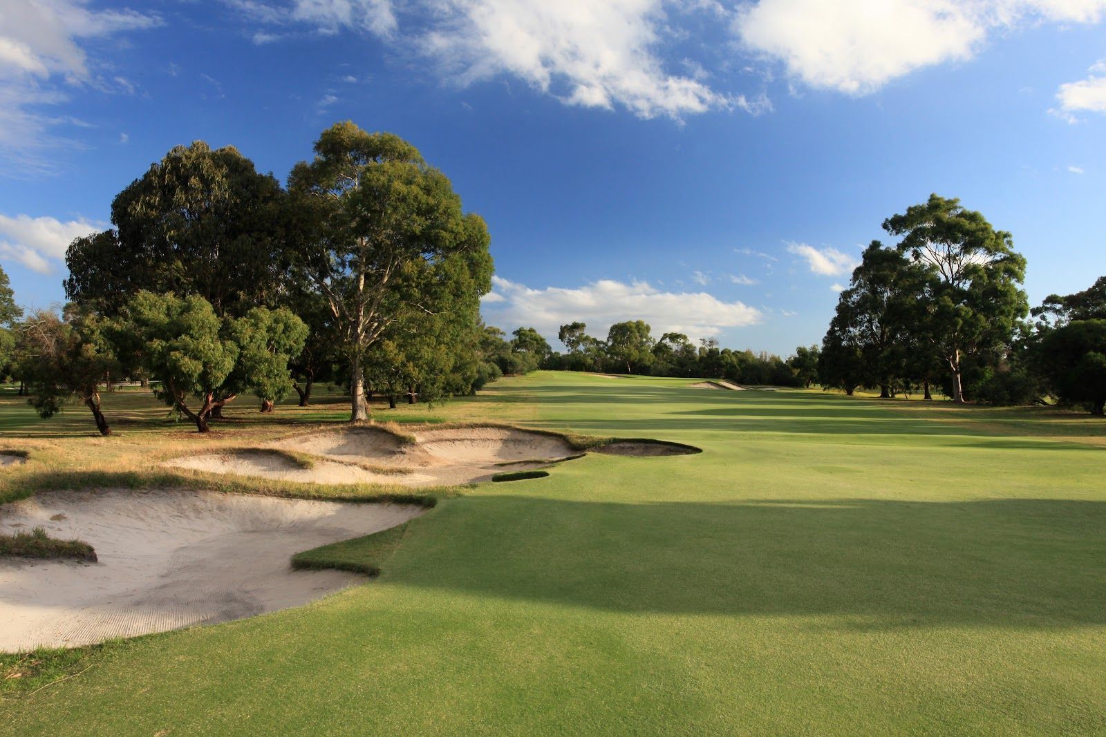 Sandhurst Club - The Champions Course